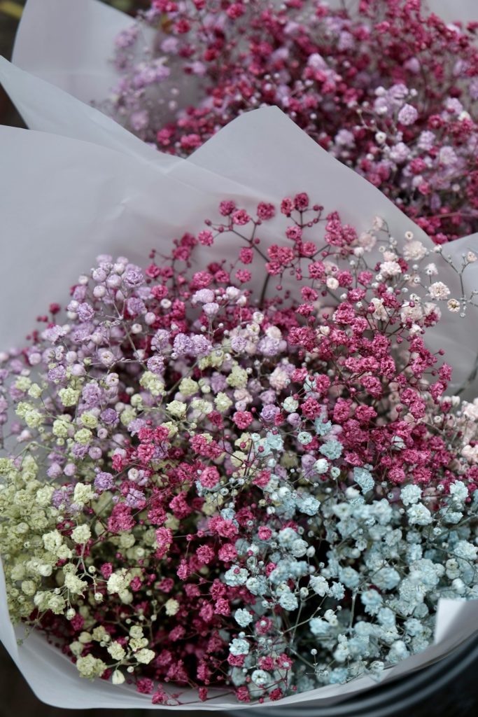a bunch of flowers that are in some paper