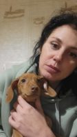Olga from Ukraine is looking for a man