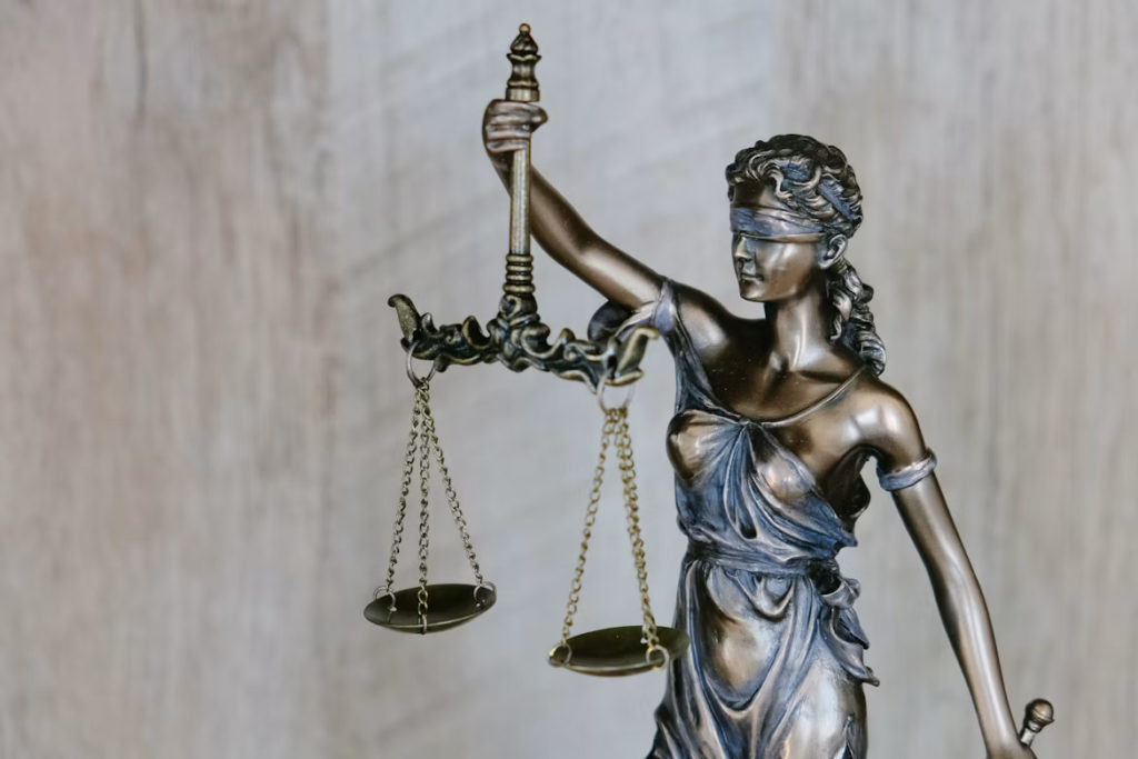 Woman Lawyer